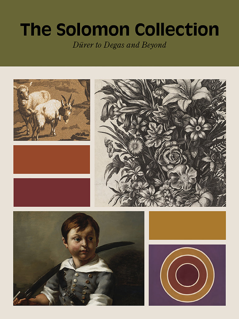 Image of a book cover features four details of artworks interspersed with contrasting bands of color. Text along the top reads “The Solomon Collection Dürer to Degas and Beyond.” Details of artworks, from top left: an etching and aquatint of a sheep and goat, an engraving of a floral bouquet, a painting of three concentric circles, and a painted portrait of young boy in a grey and white suit.